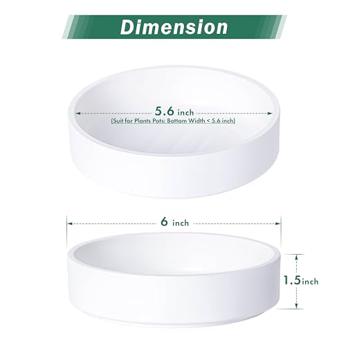 Phoenix Vine 6 Inch Plastic Plant Saucer Water Drip Tray, Heavy Sturdy Round Plant Drainage Tray for Indoors Outdoor, Matte White, 21-TY-6W-1 - size: 6"