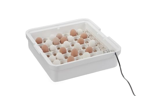 Little Giant® Digital Circulated Air Incubator with Automatic Turner | 41 Egg Capacity | Chick Egg Hatching Incubator with Fan and Egg Turner | Made in USA - style: Incubator with Fan and Egg Turner