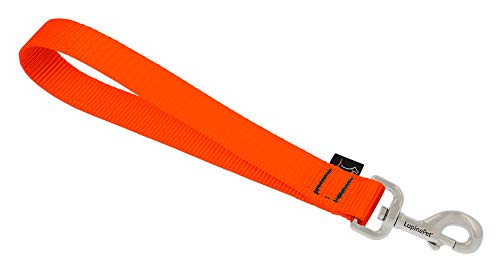 Training Tab by Lupine in 1" Wide Blaze Orange for Medium and Larger Dogs - size: 1" wide; 11" long