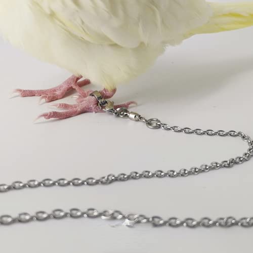 Bird Foot Chain Flying Stainless Steel Training Rope Outdoor Parrot Ankle Foot Ring Accessories Bird Harness Leash Prevent Escaping (Model8) - size: Model8