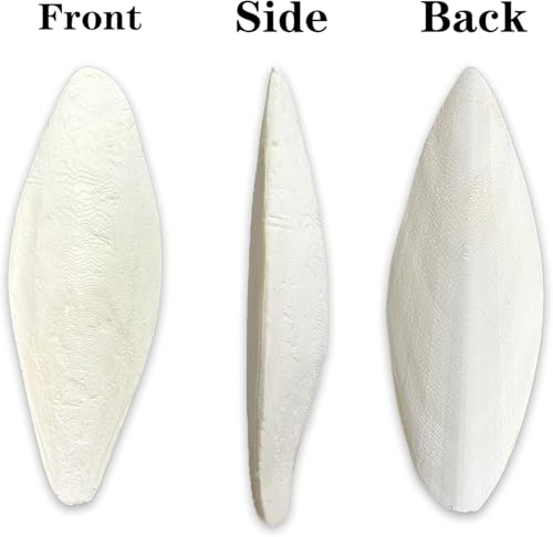 5.5"-7.1" inches Large Cuttlebone for Birds - 100% Natural Cuttlefish Bone Bulk Chew Toy Bird Bites Calcium Stone for Canaries Tortoises,Snails,Reptiles,Parrots,Cockatiel -3pcs - size: 3PCS