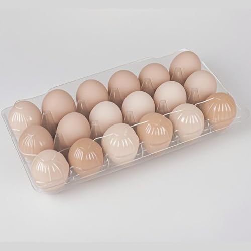 60pc 3*6 Clear Plastic Bulk Egg Cartons,12 Egg Cartons Cheap Bulk | Cheapest 18 count Transparent Plastic Egg Cartons，Suitable For Storing Egg in Farmers' Markets, Supermarkets, Kitchens. - size: 3x6 Egg Carton (60 Piece)
