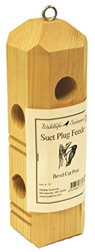 Suet Plus Plug Pine Feeder, Bevel Cut Post