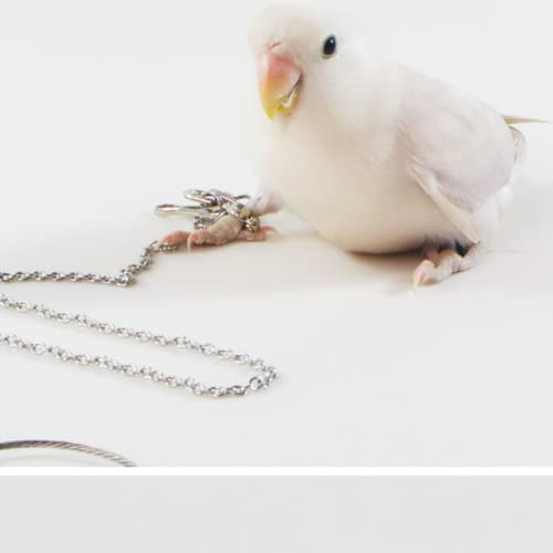 Bird Foot Chain Flying Stainless Steel Training Rope Outdoor Parrot Ankle Foot Ring Accessories Bird Harness Leash Prevent Escaping (6#) - size: 6#
