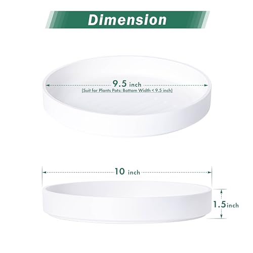 Phoenix Vine 10 Inch Plastic Plant Saucer Water Drip Tray, Heavy Sturdy Round Plant Drainage Tray for Indoors Outdoor, Matte White, 21-TY-10W-1 - size: 10"