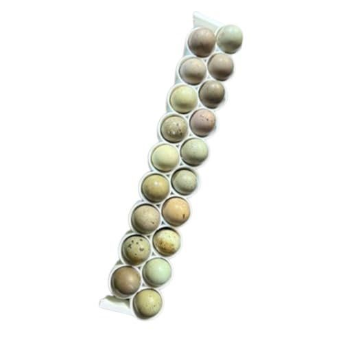 Standard & Button Quail Egg Rails, Rigid Polymer, White for Cimuka/Hatching Time CT-Series Incubators (2)