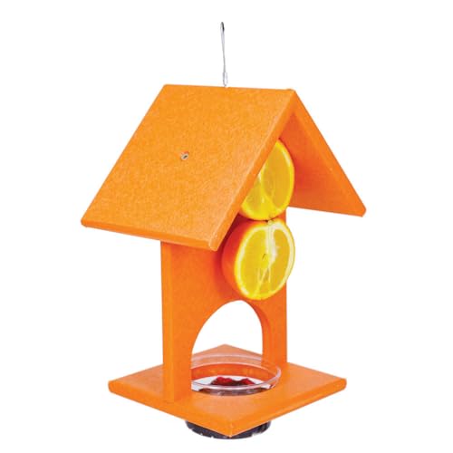 SERUBFJF Fruit and Jelly Oriole Feeder (Set of 1)