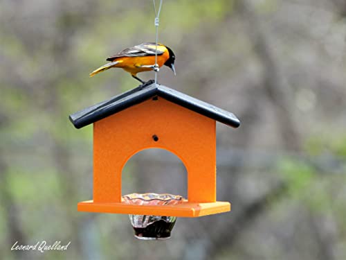 Oriole Bird Feeder, Poly-Lumber Hanging Oriole Jelly Feeder (Orange) - color: Orange