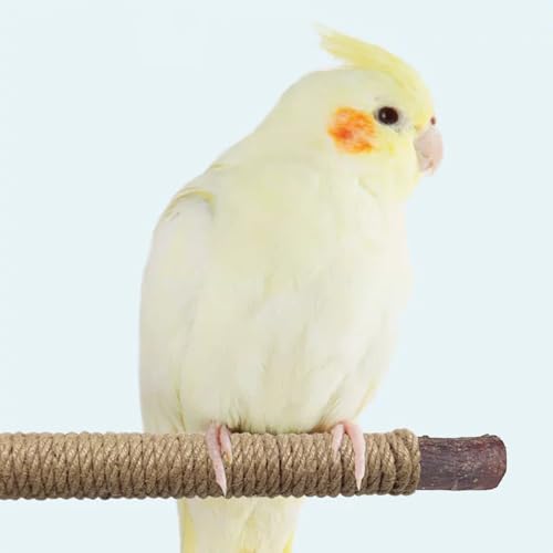 6 PCS Bird Perch Stand Natural Wood Standing & Hanging with Rope, Bird Cage Accessories for Small Parrots