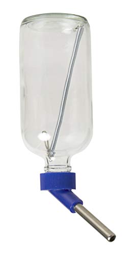Lixit 30-0370-024 Glass Water Bottle for Birds and Small Animals, 8-Ounce - size: 8oz