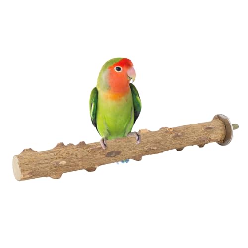 Hypeety Natural Prickly Ash Wood Bird Perch Stand Paw Grinding Perch Toy | Natural prickly ash wood, bark texture for grip, chew-proof and durable, for budgie/parakeet/cockatiel/lovebird, 7.86''/20cm - size: 7.86 inch