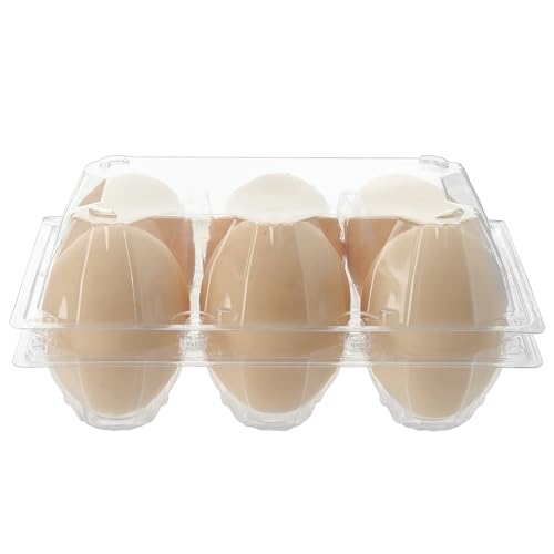 100 PCS 6 Grids Plastic Egg Cartons, Clear, 14.8 x 10.2 x 6.2 cm, Egg Storage, Transportation