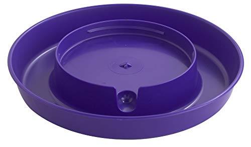 Little Giant® Screw-On Poultry Waterer Base | Heavy Duty Plastic Water Tray Base for Container | Chicken Waterer Screw On Base | 1 Gallon (Purple, Pack of 1) - color: Purple