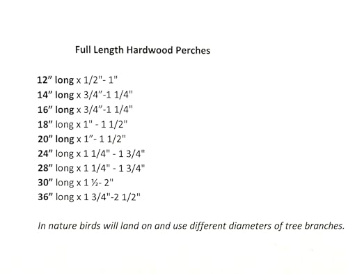 Polly's Full Length Hardwood Bird Perch, 20-Inch (Pack of 2) - size: 20" (Pack of 2)