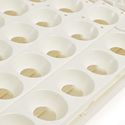 Farm Innovators 3200 Automatic 41 Spot Egg Turner for the Bottom of Incubators to Eliminate Manual Handling and Improve Hatching Rate, White (2 Pack) - size: 2 Pack