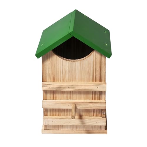 Screech Owl House Owl Box with Bird Stand Design | Nesting Box Wood with Mounting Screws, Cozy House for Lovely Birds, Easy Assembly Required - color: Green