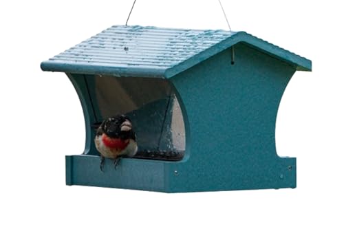 Birds Choice Medium Hopper Bird Feeder | 3lb Capacity | Lake Blue | Made in the USA, Recycled Plastic Construction, Simple to Fill, Weather-Resistant for Year-Round Backyard Use - color: Lake Blue - Medium