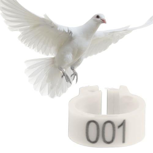Bird Identification Leg Rings, Adjustable Chicken Leg Rings, Color Coded Legs Bands for Most Adult Pigeons Weighing Around 400 Grams(White) - color: White