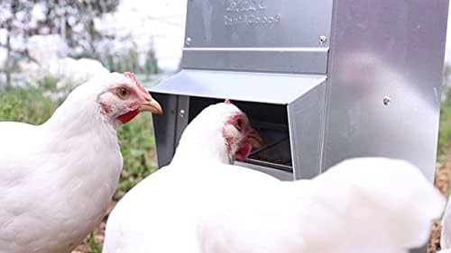 RentACoop Metal Trough Feeder, Gravity-fed 10lb Chicken Feeder - size: 10LB Capacity