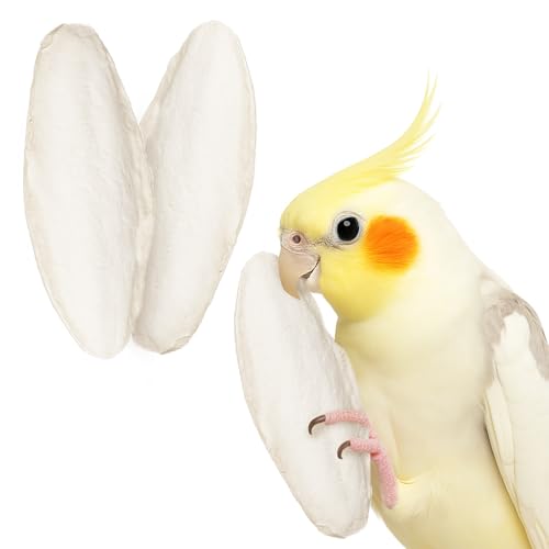 SunGrow 3 Pack Cockatiel Cuttlefish Bone, Calcium Addition to Bird Beak Care, Cage Mount Holder NOT Included, Support Shell Strength, Turtle, Shrimp, Dog, Snail, Aviary Clip, Accessory Reptile