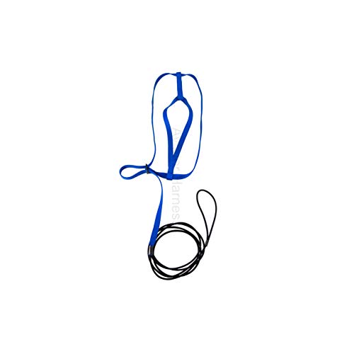 The AVIATOR Pet Bird Harness and Leash: XX-Large Blue - color: Blue, size: XX-Large