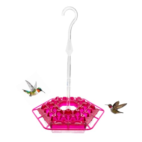 Lil Sweety Hummingbird Feeder for Outdoors Hanging, 12 oz Leak-Proof Nectar Feeder with 30 Feeding Ports, Built-in Ant Moat & Bee Guard, Easy Fill & Clean for Patio, Porch, Garden, USA Made, Fuschia - color: Fuschia