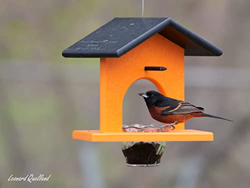 Oriole Bird Feeder, Poly Lumber Hanging Oriole Jelly Feeder (Black/Orange) - color: Black/Orange