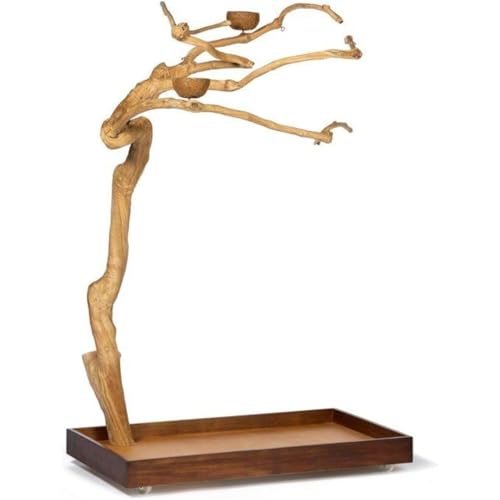 HomeStock Asian Fusion CoffeeWood Tree-Style Parrot Play Stand with Natural Design, Durable Perches, Feeding Bowls, and Spacious Activity Area for Birds Small - size: Small
