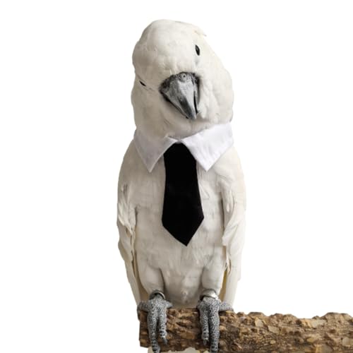 Bird Collar, Bird Clothes, Parrot Bird Supplies, Cute Collar for Medium and Large Birds Eclectus Cockatoo African Grey Amazon Bow Tie Scarf Super Cute Costume Photo Prop for Parrots (Necktie) - style: Necktie