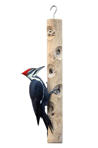 Large Cedar Suet Log Feeder | For Woodpeckers and Chickadees