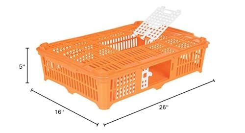 Premier 1 Quail Transport Crate - 26" L x 16" W x 5" H (Single) | For field-trials & farm use. Up to 30 quail or newborn chicks. Top & side doors. Pre-assembled, stackable. Solid floor. - size: 26.0"L x 16.0"W x 5.0"H