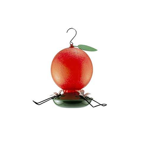 Woodlink 24177 Audubon Oriole Wild Bird Feeder, Orange, 32 oz