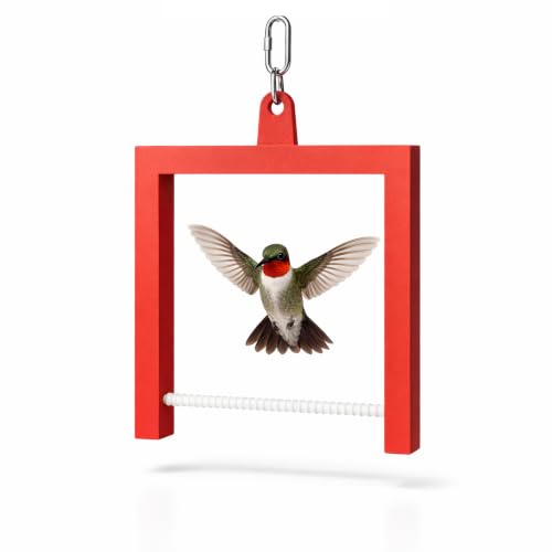 Hummingbird Swing and Perch, Outdoor - Red, Weatherproof Resting Perch Sized for a Hummingbird's Claws, with Stainless Clip for Any Feeder or Hook - GetRedStuff