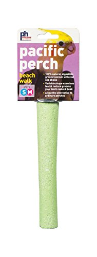Prevue Pet Products Pacific Perch Beach Walk Medium - size: Medium