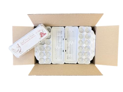 12 Count Egg Cartons - Printed Red/Brown - Recycled Paper Pulp, Solid Top S | tyle for Chicken Eggs - Made in USA