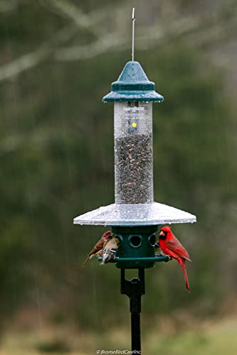 Squirrel Buster Plus Squirrel-proof Bird Feeder w/Cardinal Ring and 6 Feeding Ports, 5.1-pound Seed Capacity, Adjustable, Pole-mountable (POLE ADAPTOR SOLD SEPARATELY), Green | Cardinal ring, six ports, weight adjustment, pole-mountable, adapter sold sepa