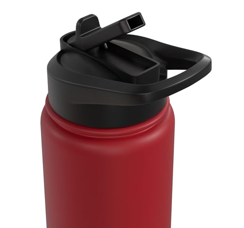 Bird Definition - Funny Sarcastic Bird Explanation Stainless Steel Insulated Water Bottle - color: Red