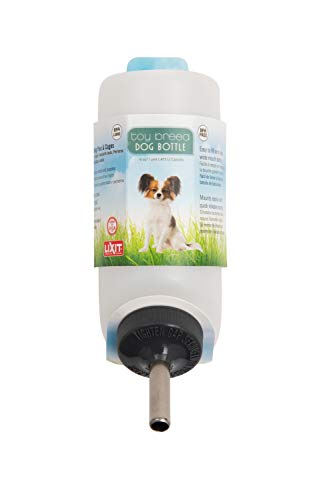 Lixit® Wide Mouth Water Bottles for Small Dogs (White, 16 Ounce)
