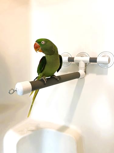 Polly's Portable Window-Shower Perch with Suction Cups for Cockatiels, Macaws, African Greys (Deluxe, Large) - size: Large