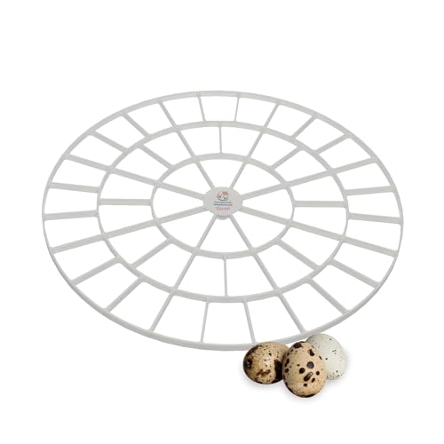Durable Egg Tray for Nurture Right 360 Egg Incubator, 48 Quail/Bird Eggs - size: 12.3"L x 12.3"W x 0.7"H
