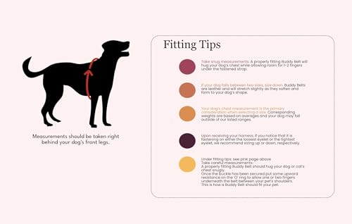 BUDDY BELT Harness Pebble Grain Blue - Premium Edition (7) - size: 7