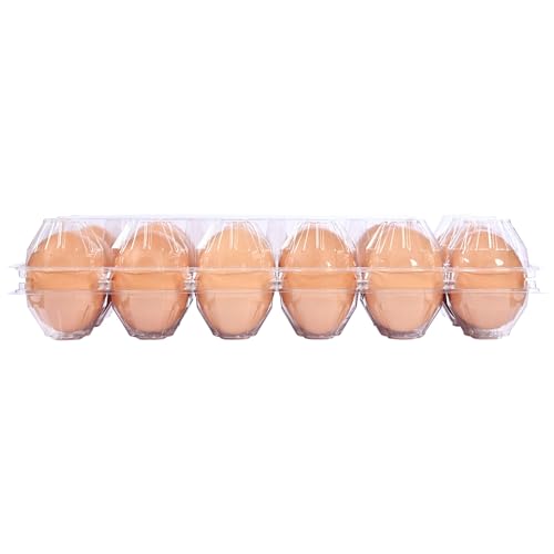 2 * 6 grid large plastic Egg Carton,fit into 2.5 oz of egg (120 pc) | (2*6)12 grid Reusable Eggs Carton，Disposable Large Clear Plastic Egg Carton,egg cartons cheap bulk，for Family, Farm, Markets - size: 2x6 12 egg boxes, 120 pieces