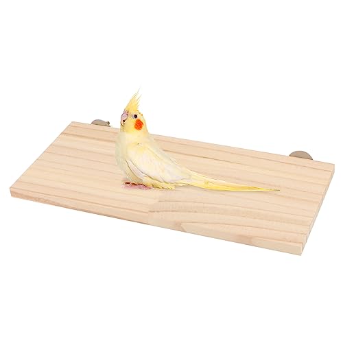 Wontee Bird Perch Stand Wooden Platform for Cockatiels Conures Rats Gerbils Chinchillas Squirrels (M) - size: M