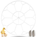 10 Egg Capacity Jumbo Goose Heavy Breeds Tray Compatible with Nurture Right 360 Incubator Turner, White JGT360