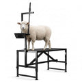 35" Heavy-Duty Steel Goat Milking Stand with Adjustable Headpiece & Legs, Feed Bin - for Grooming, Shearing, Physical Examination,and Milking, Black - color: Black, size: 35 inch