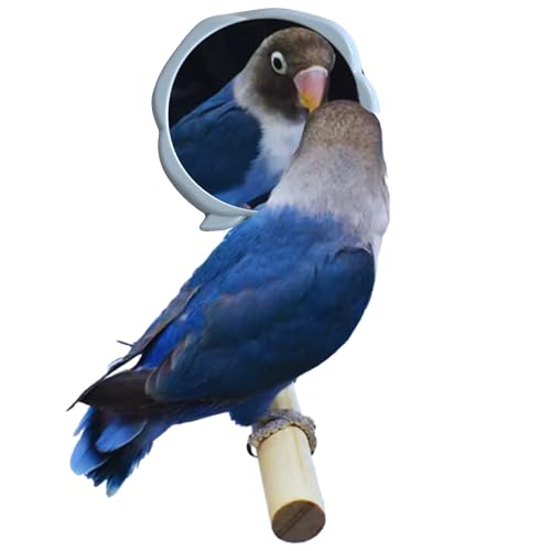 Bird Mirror with Perch - Easy Cage Install, Ideal for Parakeets Cockatiels Conures Lovebirds Finch Canaries Budgies, Wooden Bird Toys (2 Pack)