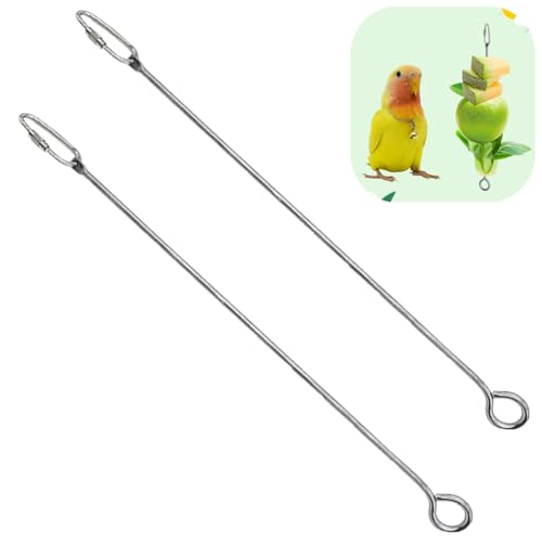 2 Pcs Bird Food Holder Small Animal Fruit Vegetable Skewer Hanging Feeders Toy Stainless Steel Feeding Stick Tool for Cage