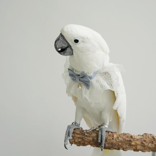 Bird Collar, Bird Clothes, Parrot Bird Supplies, Cute Collar for Medium and Large Birds Eclectus Cockatoo African Grey Amazon Bow Tie Scarf Super Cute Costume Photo Prop for Parrots (Pink Collar) - style: Pink Collar