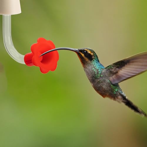 DECOHS 9 Pcs Hummingbird Feeder Tubes with Red Floral Tip, Bird Hummingbird Feeder Replacement Parts with 3 Brush, Outside Flower Bird Water Feeder Tubes Stoppers for Making Your Own Bird Feeders