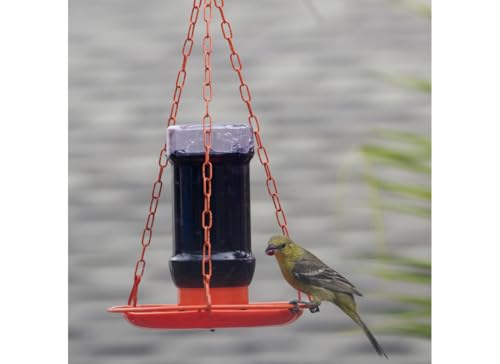 Perky Pet Jelly Feeder Oriole 32 Oz